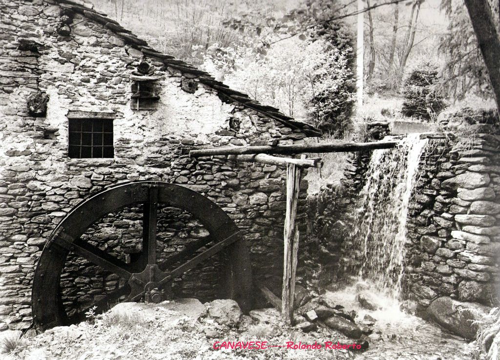 Canavese